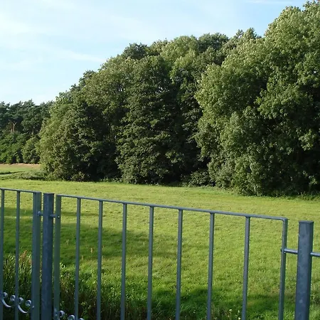 Cozy In Friedland Germany With Garden